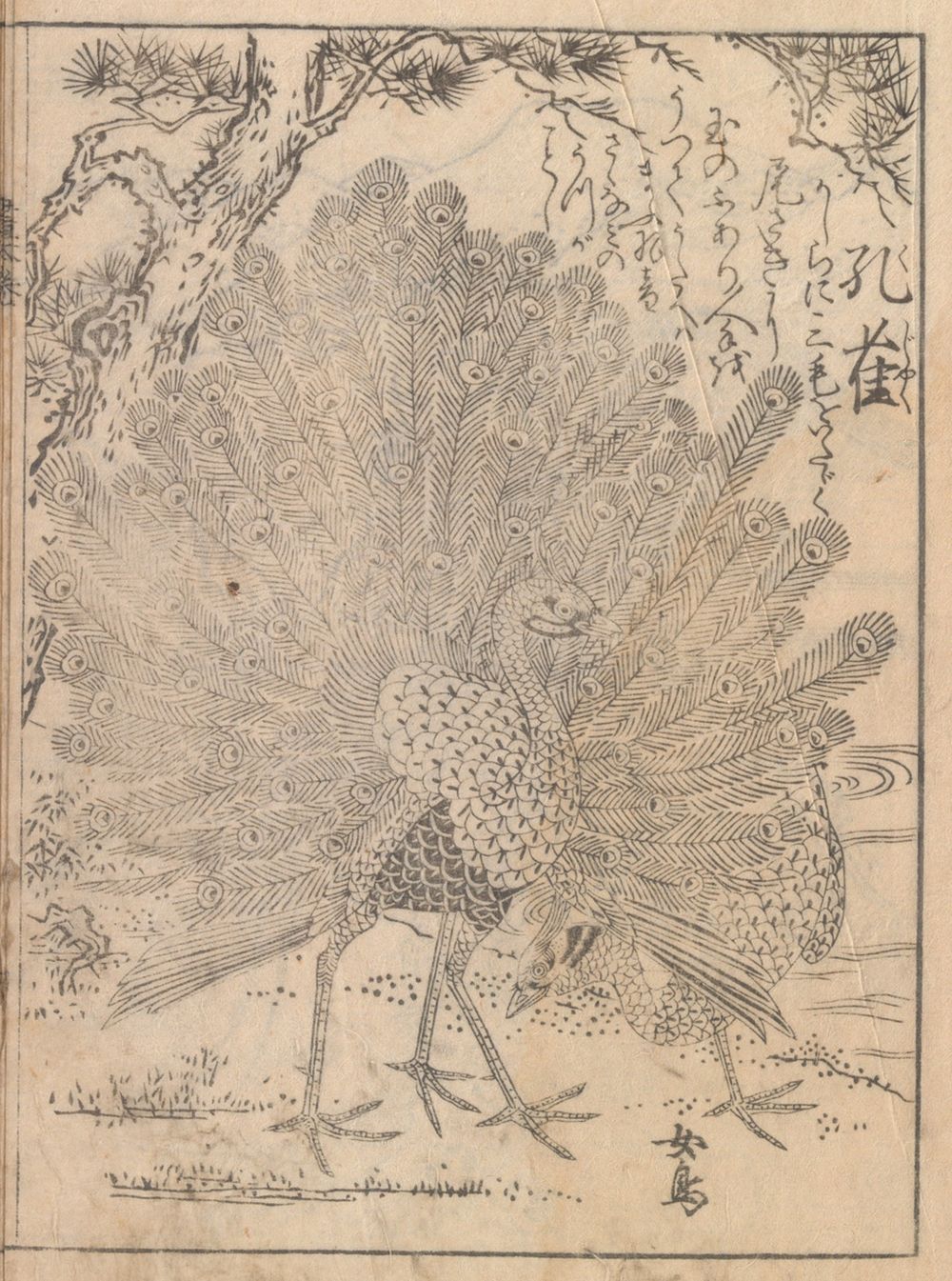 A page from a Japanese woodblock printed book featuring avian subjects, rendered in ink on paper in the traditional Japanese style, from a drawing manual originally published in 1761 and reissued in 1794 during the Edo period.