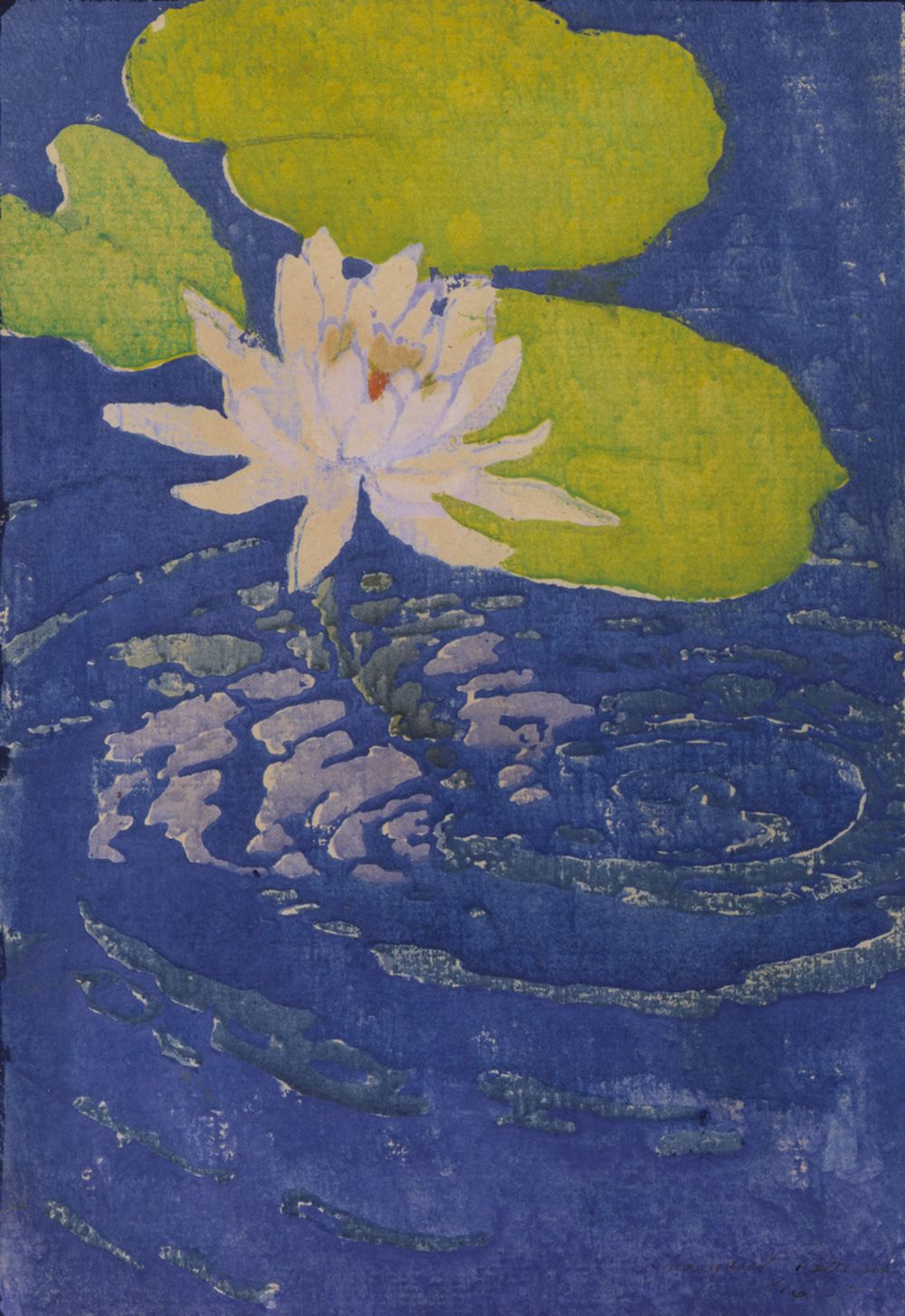 A Woodcut print on paper depicting a water lily, created in 1916