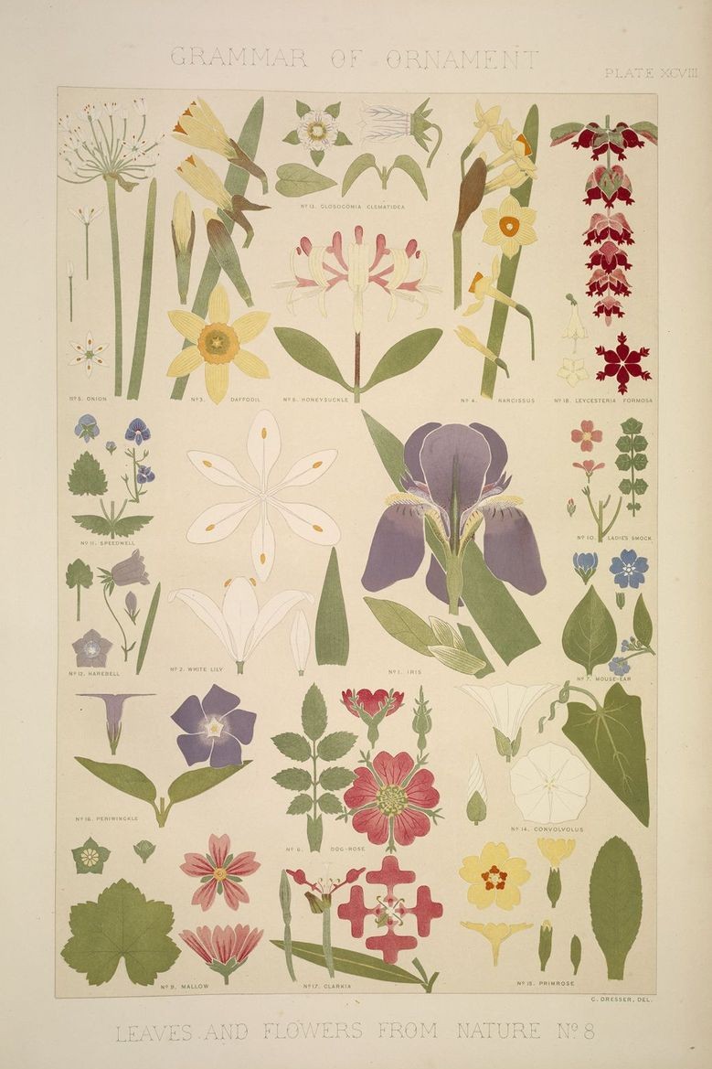 Various flowers shown in plan and elevation views, decorative ornament design, lithograph, 1856